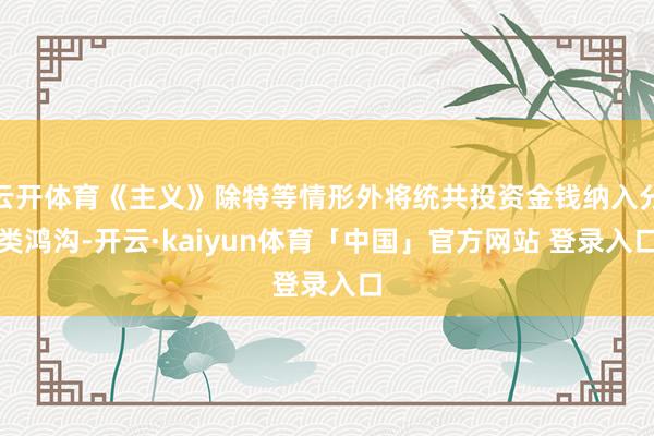 云开体育《主义》除特等情形外将统共投资金钱纳入分类鸿沟-开云·kaiyun体育「中国」官方网站 登录入口